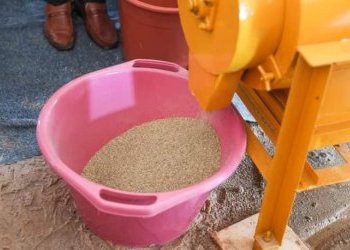 L'autonomisation des femmes : un levier pour le développement économique de nos terroirs