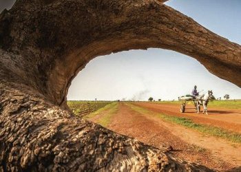 Fass Thièkène, une piste qui efface la peur et ramène le sourire